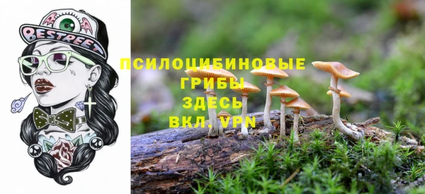 герыч Алексин